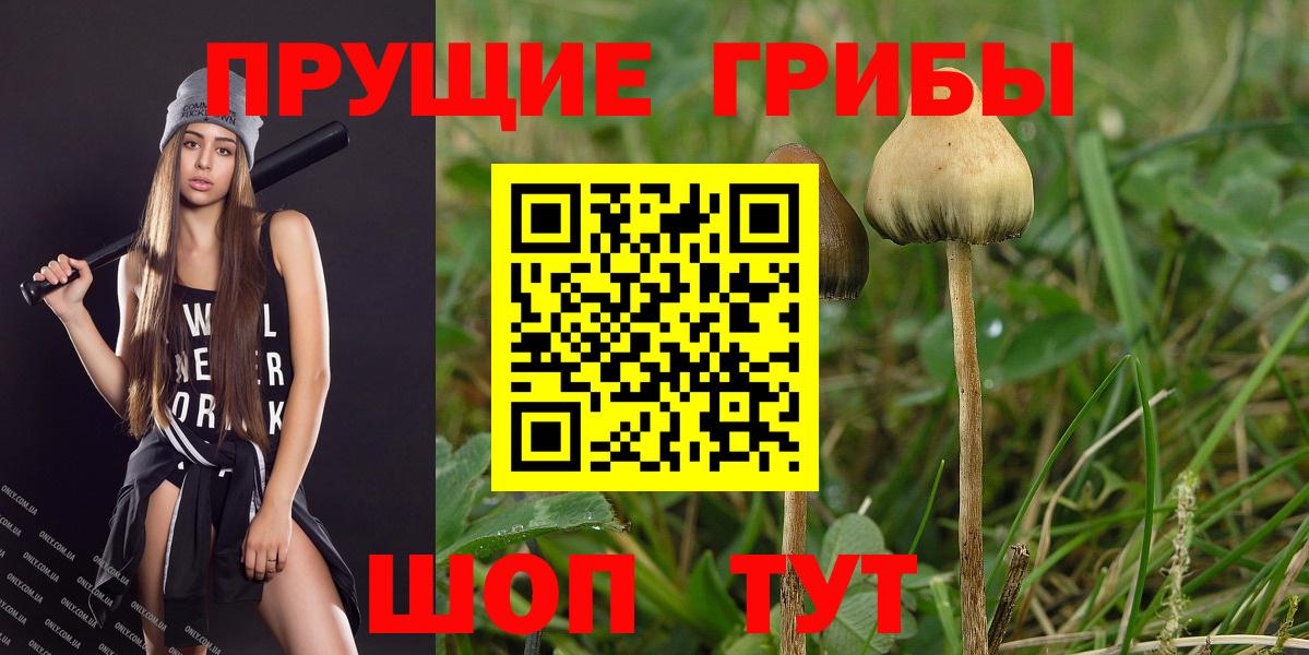 Псилоцибиновые грибы GOLDEN TEACHER Вышний Волочёк